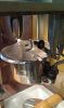 Filename=kettle_after_2.jpg
Filesize=237KB
Dimensions=1224x2048
Date added=Dec 06, 2011 kettle_after_2.jpg